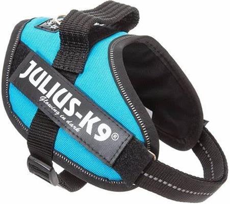 REC JULIUSK9POWER PET.NYL/BABY,CM33-45,KG2-5,AZZR