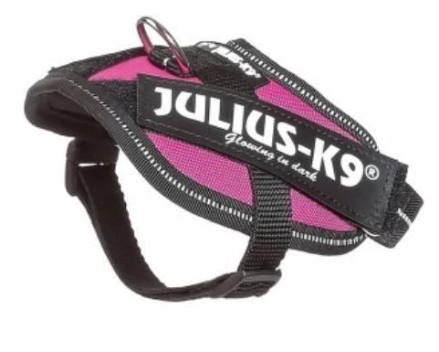 REC JULIUSK9POWER PET.NYL/BABY,CM33-45,KG2-5,ROSA