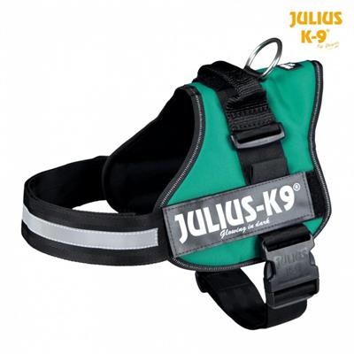 TX JULIUS-K9 PETTOR. 2/L/XL CM 71-96  VERD