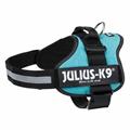 TX JULIUS-K9 PETTOR. MIS. 2 L/XL CM 71-96 AZZURRO