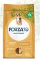 FORZA 10 MEDIUM MANTENIMENTO POLLO/PATATE KG 12 NEW