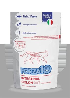 FORZA 10 CAT INTESTINAL COLON 12 X GR 100