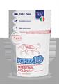 FORZA 10 CAT INTESTINAL COLON 12 X GR 100