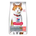 HILL'S CAT STERILIZED SALMONE GR 300