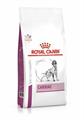 CARDIAC DOG ROYAL CANIN KG 14