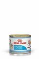 STARTER MOUSSE DOG ROYAL CANIN GR 195