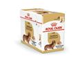 DACHSHUND ROYAL CANIN BUSTE 12 X GR 85