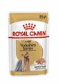 YORKSHIRE ROYAL CANIN BUSTE 12 X GR 85