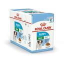 MINI PUPPY ROYAL CANIN BUSTE 12 X GR 85