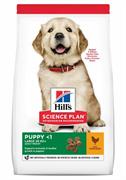 HILL'S DOG PUPPY LARGE POLLO KG 2,5