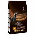 PURINA NF DOG KG 12